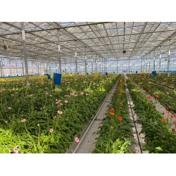 空中草莓栽培系统-智能升降基质槽-种植塔-无土栽培滴灌技术